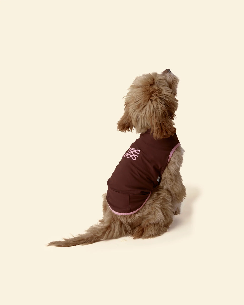 T-shirt Rinfrescante per Cani con Protezione Solare（Preordine con spedizione entro il 14 giugno）
