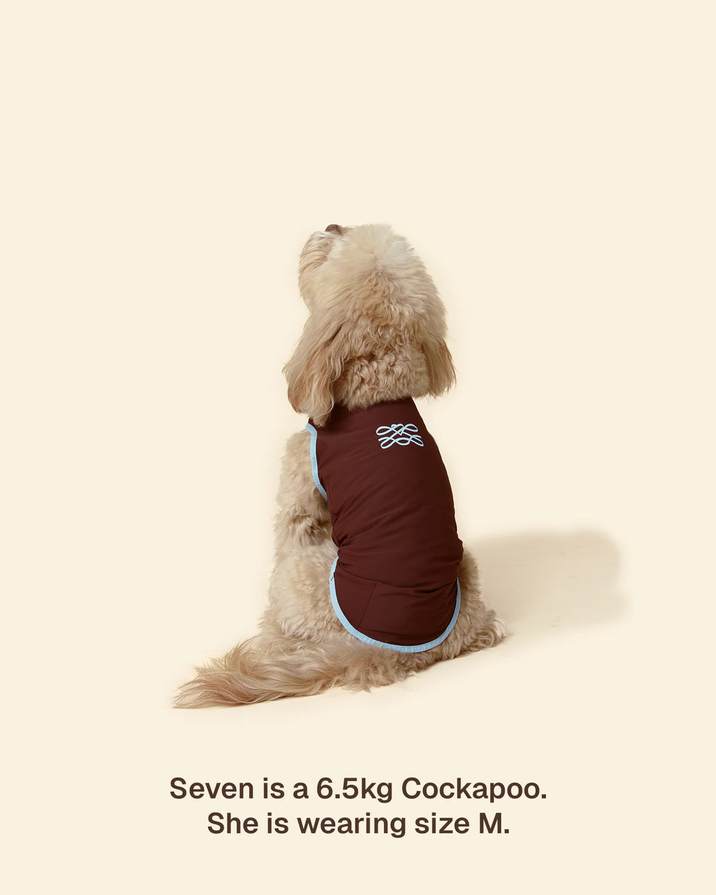 T-shirt Rinfrescante per Cani con Protezione Solare（Preordine con spedizione entro il 14 giugno）