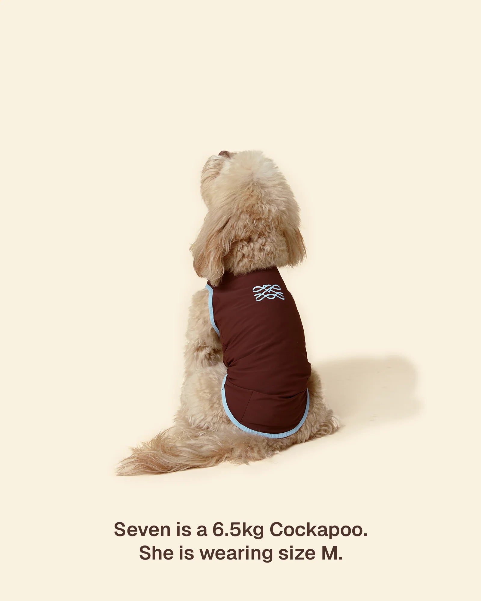 T-shirt Rinfrescante per Cani con Protezione Solare（Preordine con spedizione entro il 14 giugno）