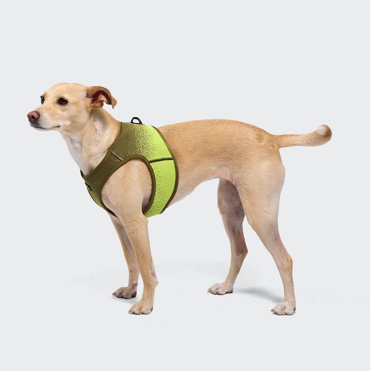 Pettorina V-3 AKTIV Knit Khaki/Neon Green – CLOUD7