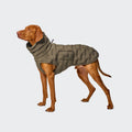 Cappotto per cani Alaska Seersucker Coffee – CLOUD7