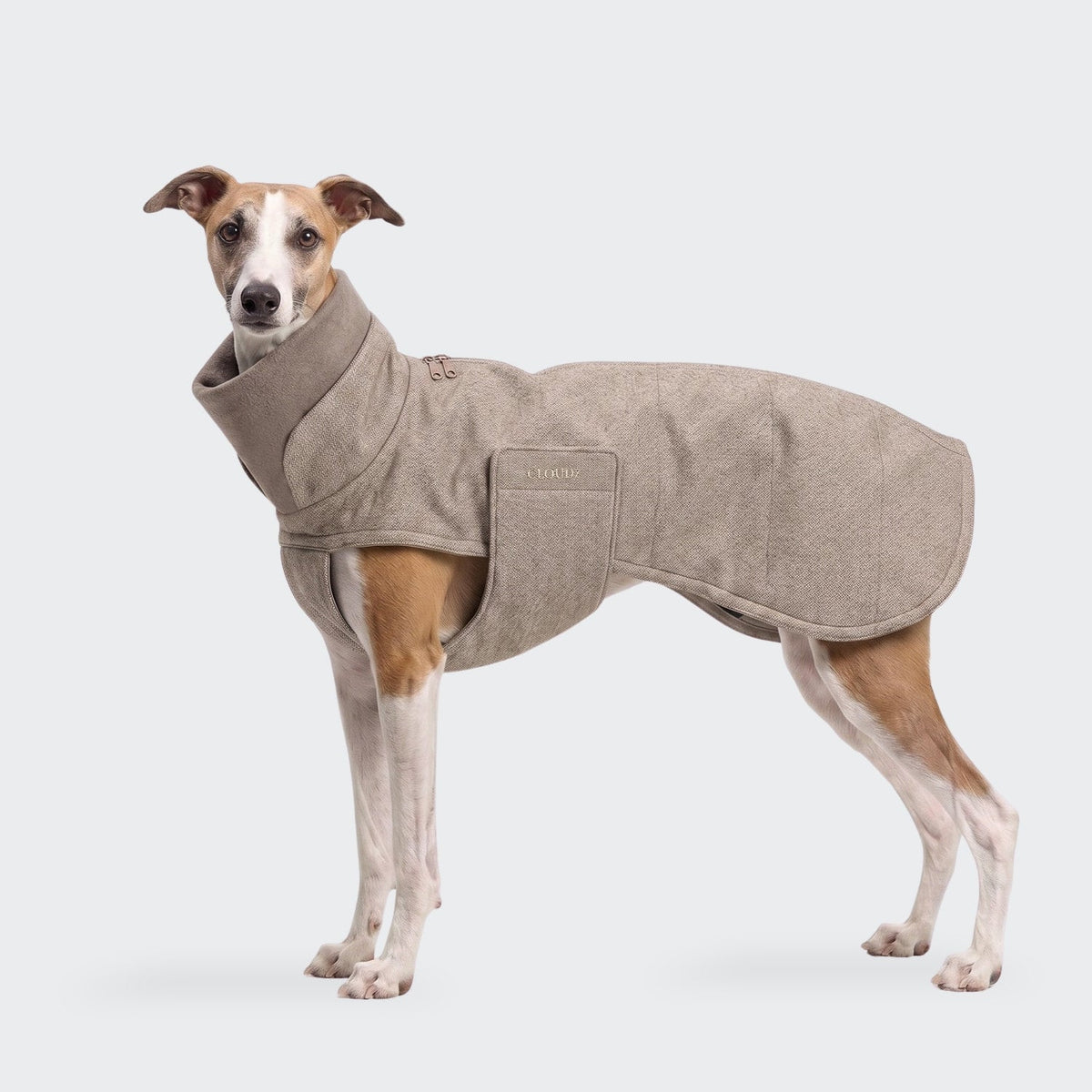 Cappotto per levriero Brooklyn Long Tweed Beige – CLOUD7