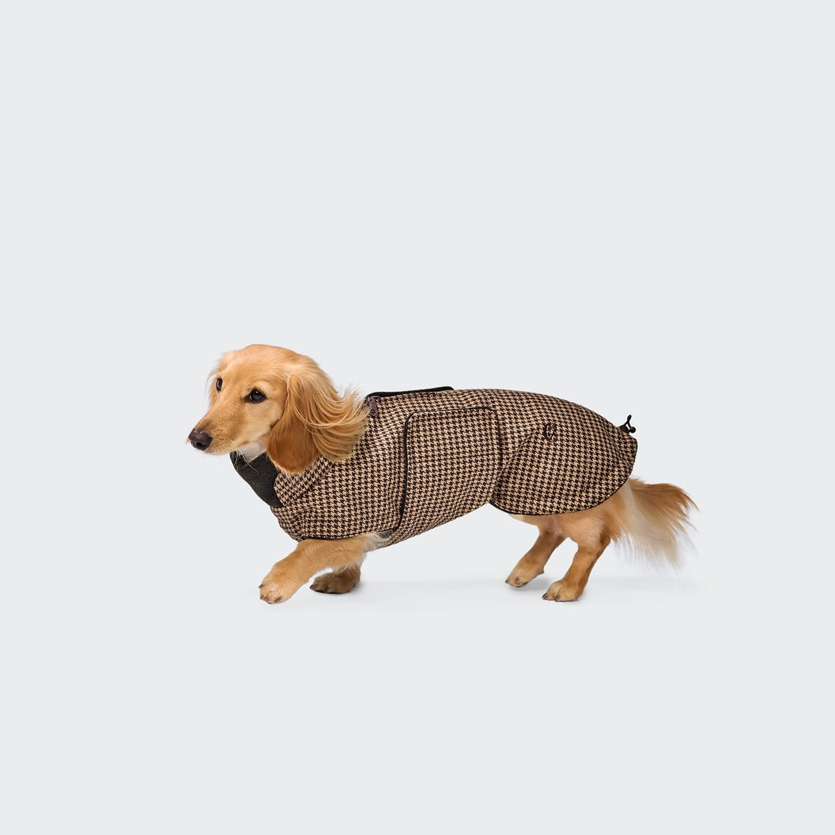 Cappotto per bassotto Brooklyn Houndstooth – CLOUD7