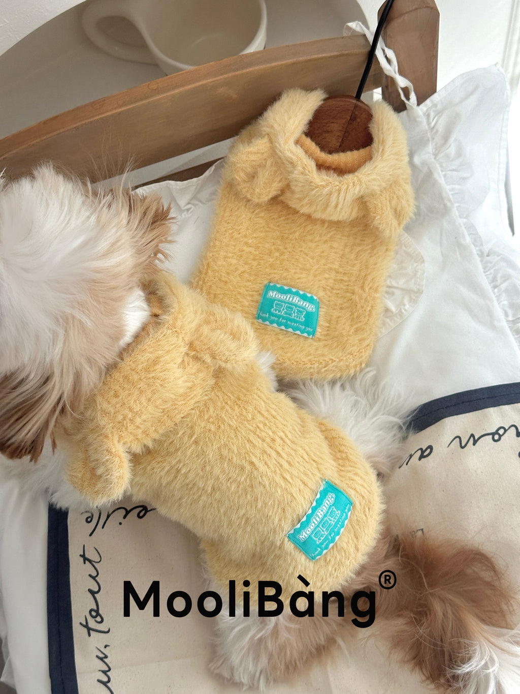 Felpa con Cappuccio per Cani “Honey Bear”