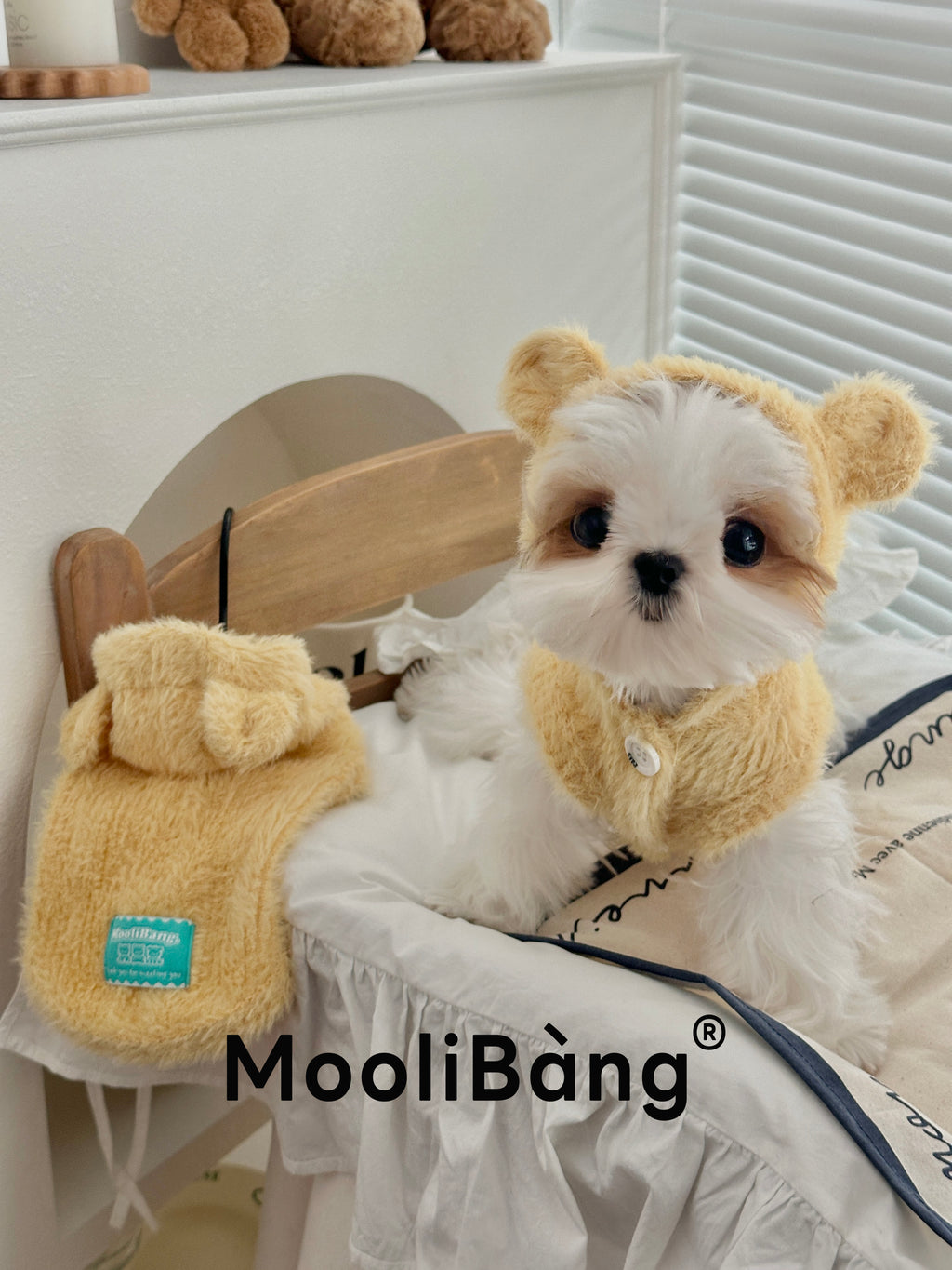 Felpa con Cappuccio per Cani “Honey Bear”