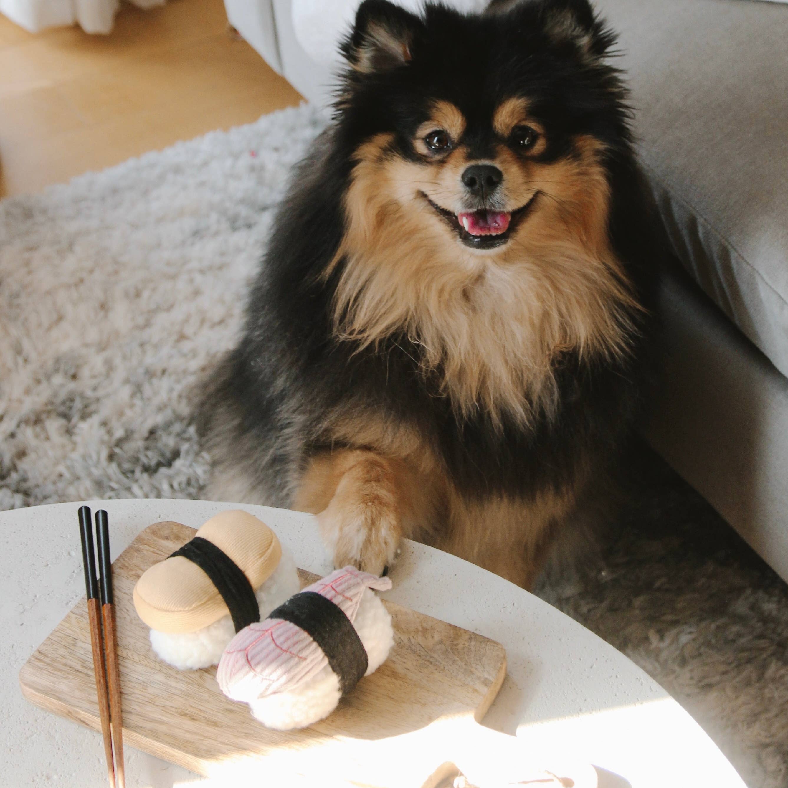 SUSHI // Giocattolo di arricchimento per cani // Annusare + Squittio