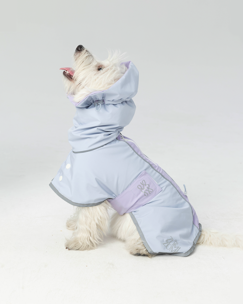 Regenjacke Hund Zumizumi – Hellgrau