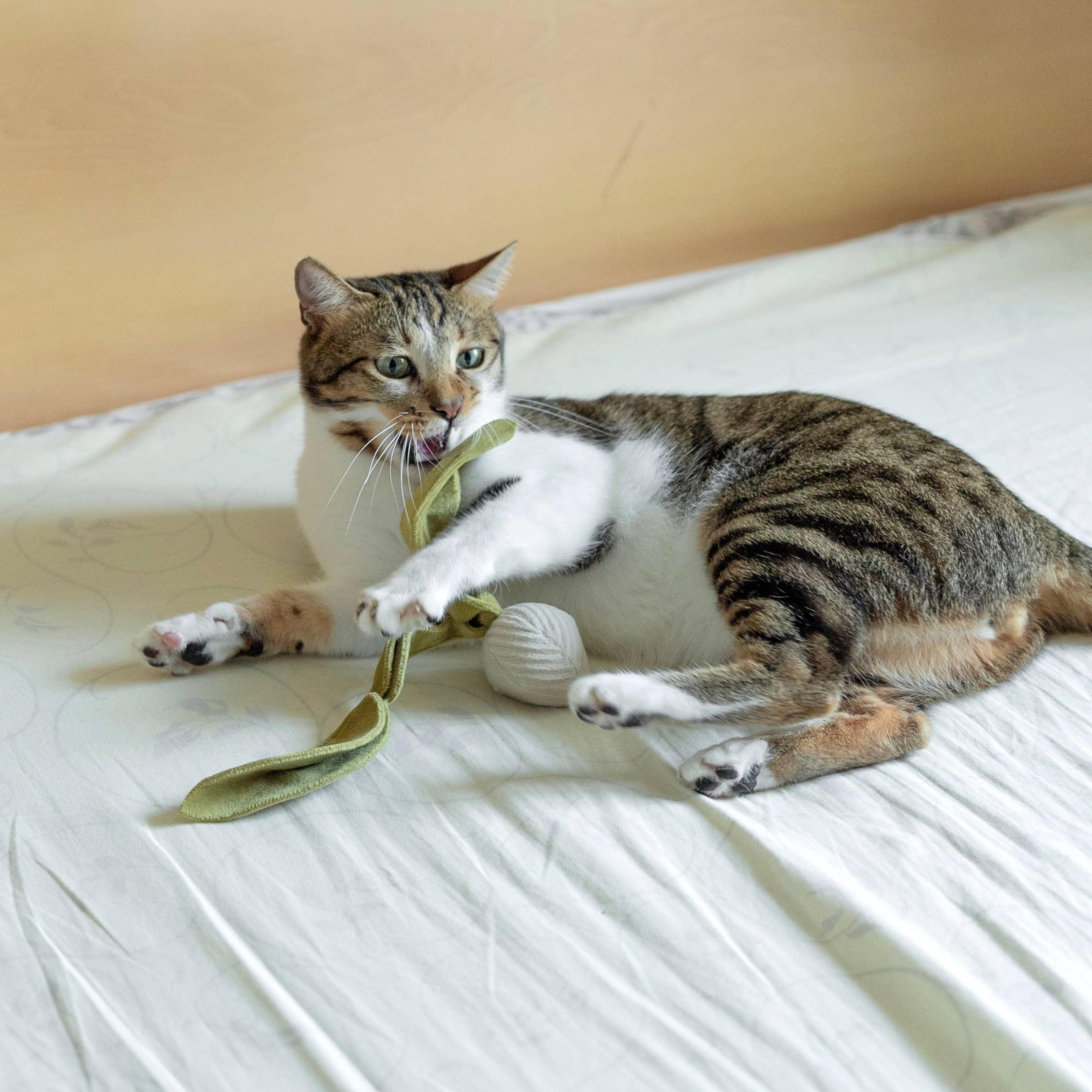 Kitten Giocattolo Ravanello con Erba gatta: XS/ BARBABIETOLA
