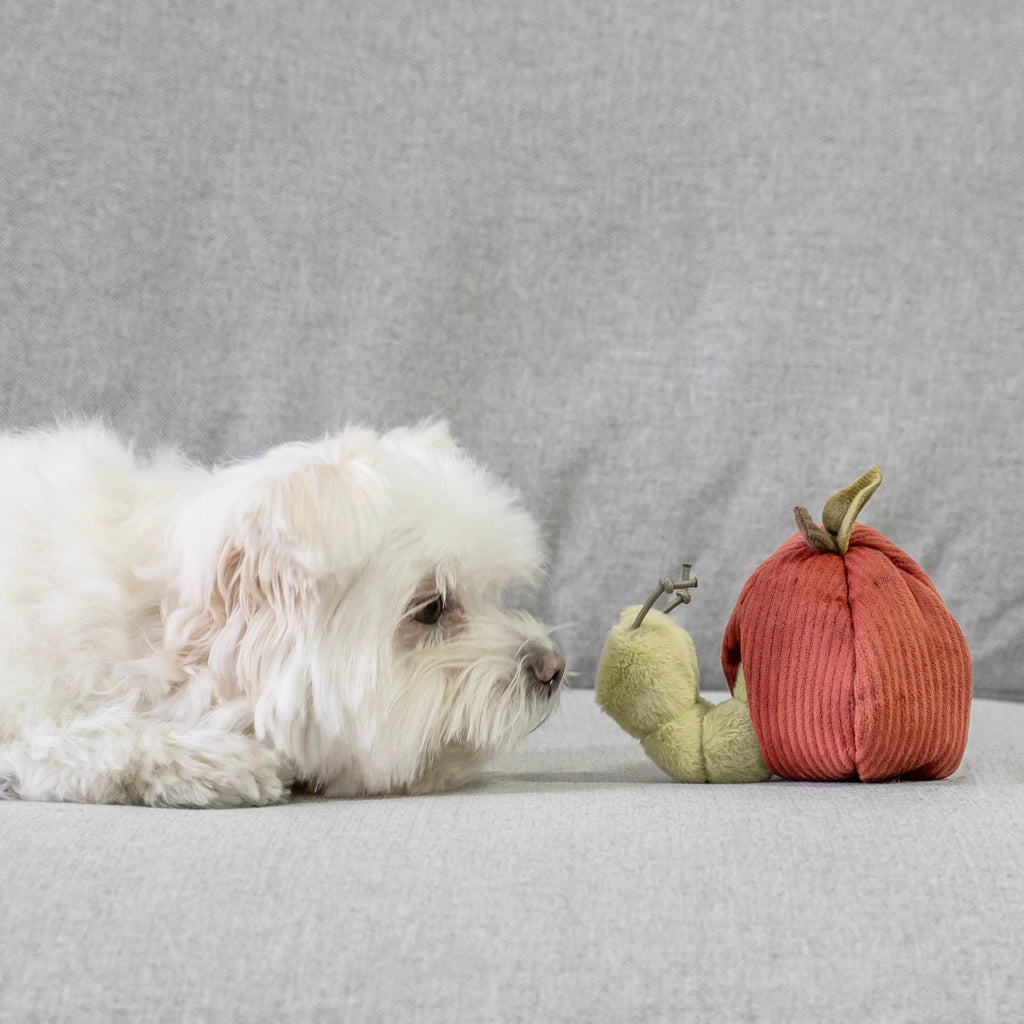 Gioco di arricchimento per cani APPLE – Lambwolf Collective
