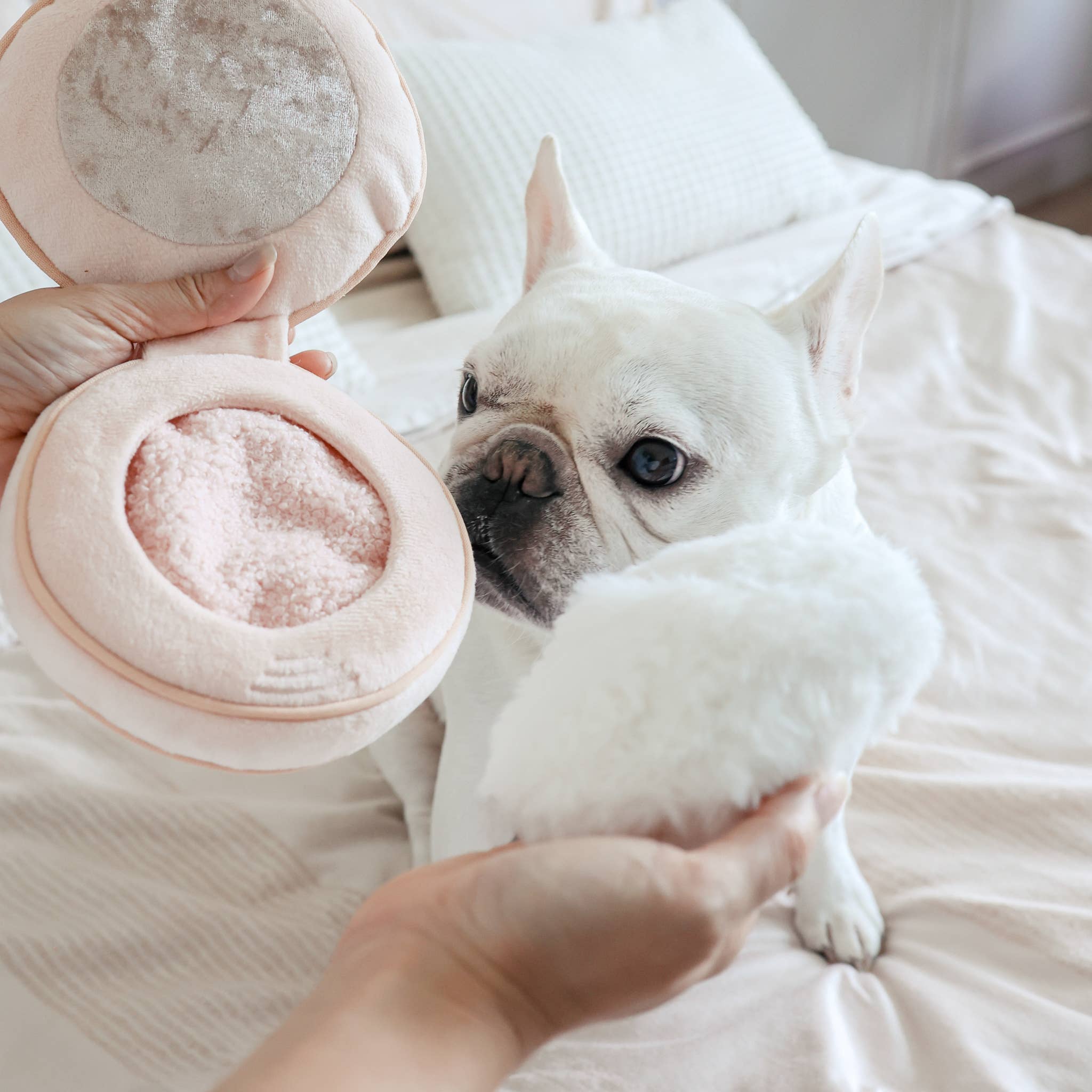 BLUSH // GIOCATTOLO DI ARRICCHIMENTO PER CANI // SNUFFLE