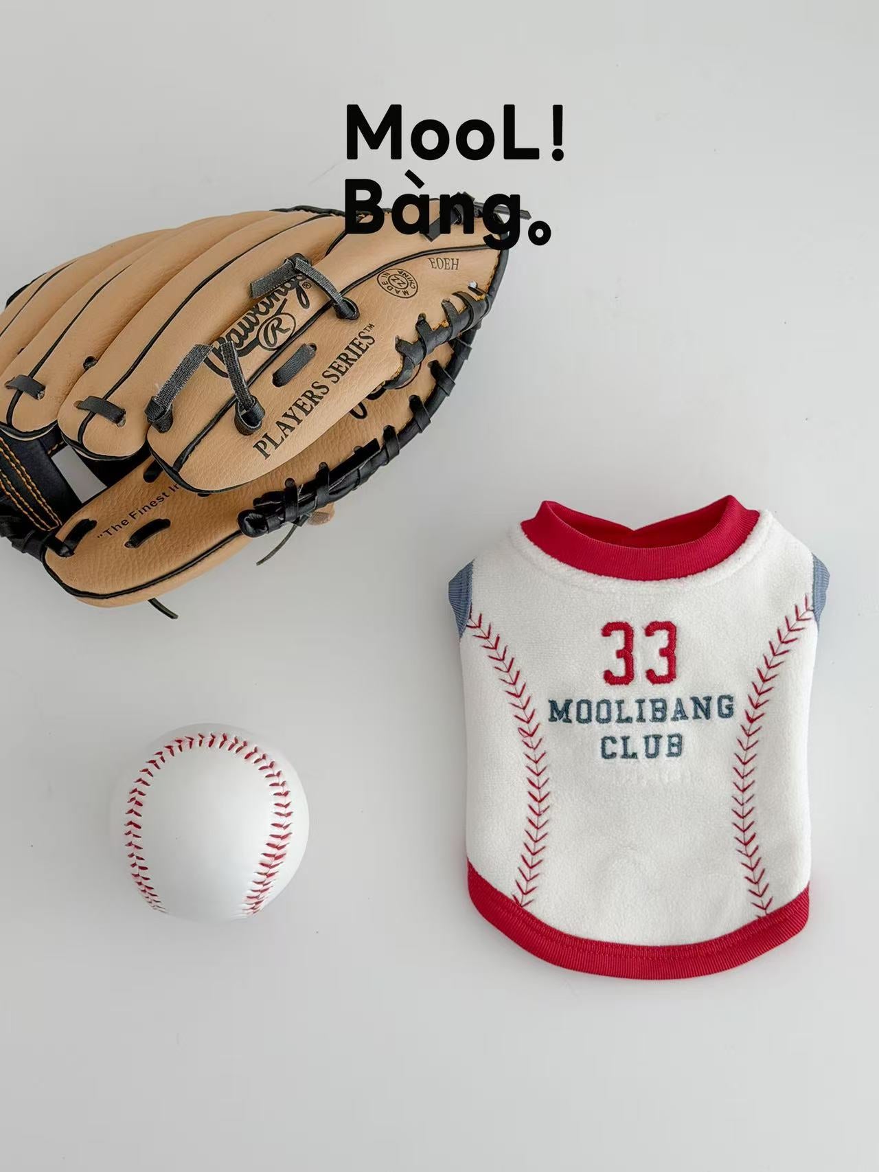 Maglioncino per Cani “Baseball Diary”