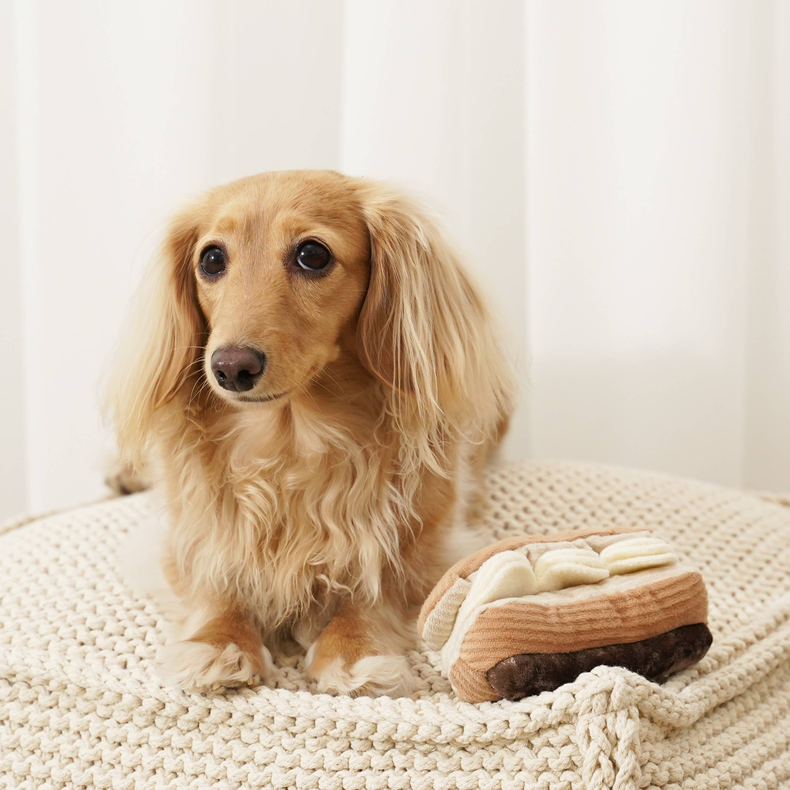ECLAIR // GIOCO DI ARRICCHIMENTO PER CANI // GIOCO SNUFFLE