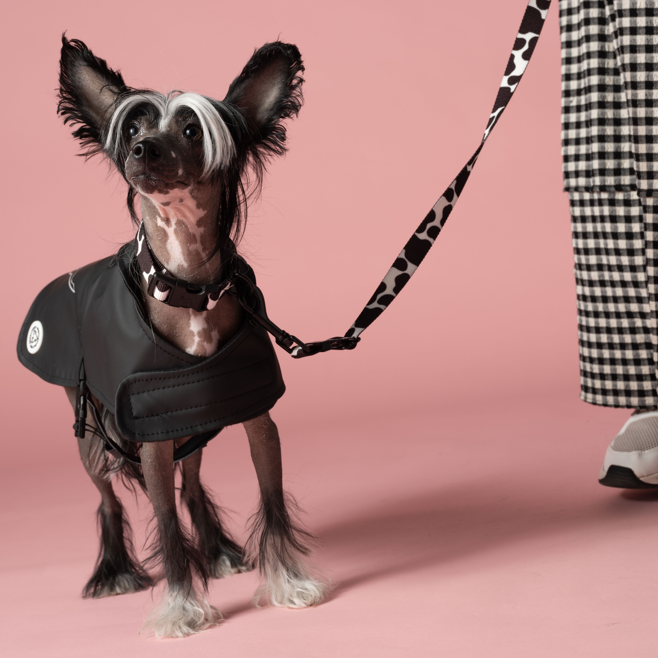 Impermeabile per cani nero riciclato