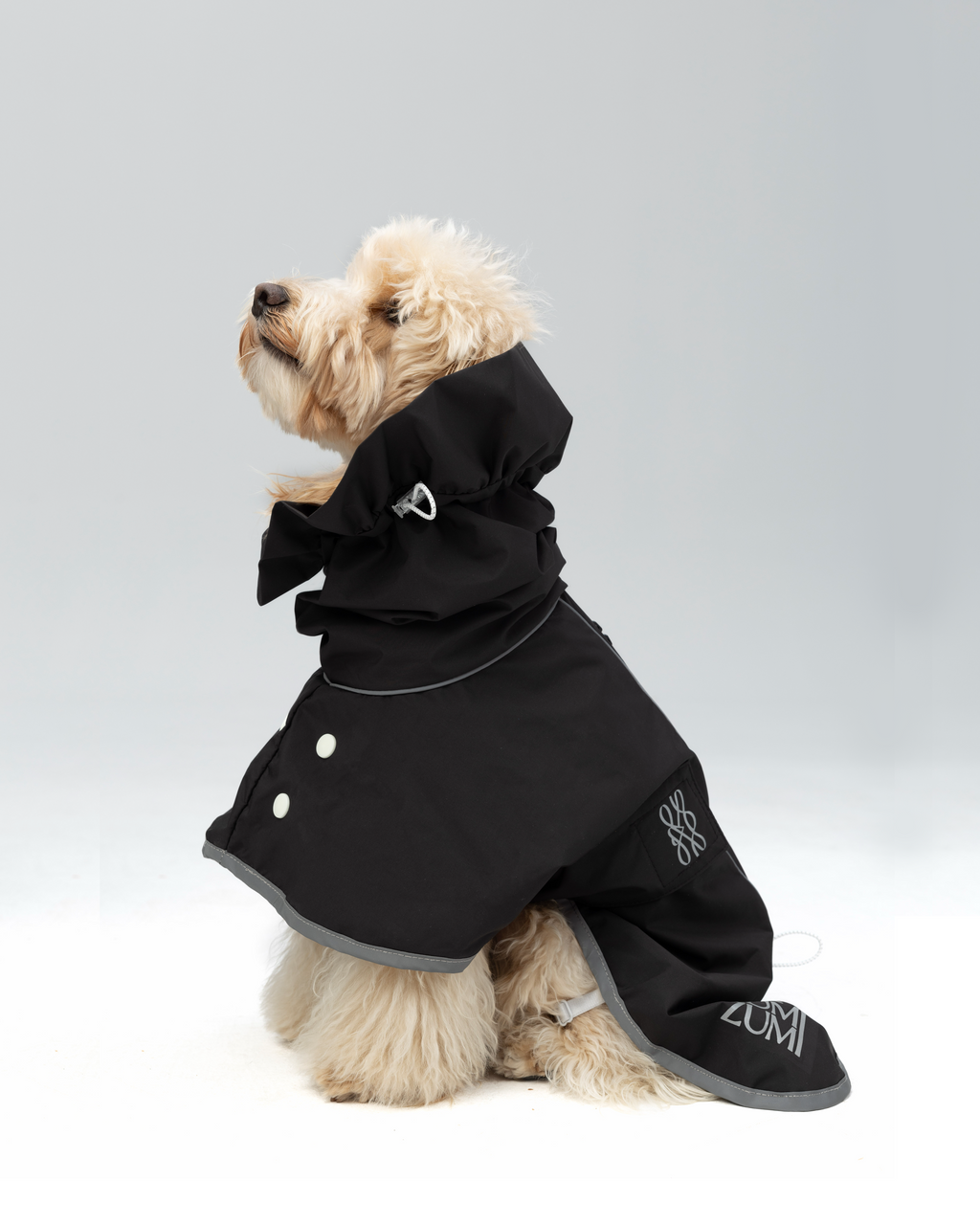 Regenjacke Hund Zumizumi – Hellgrau