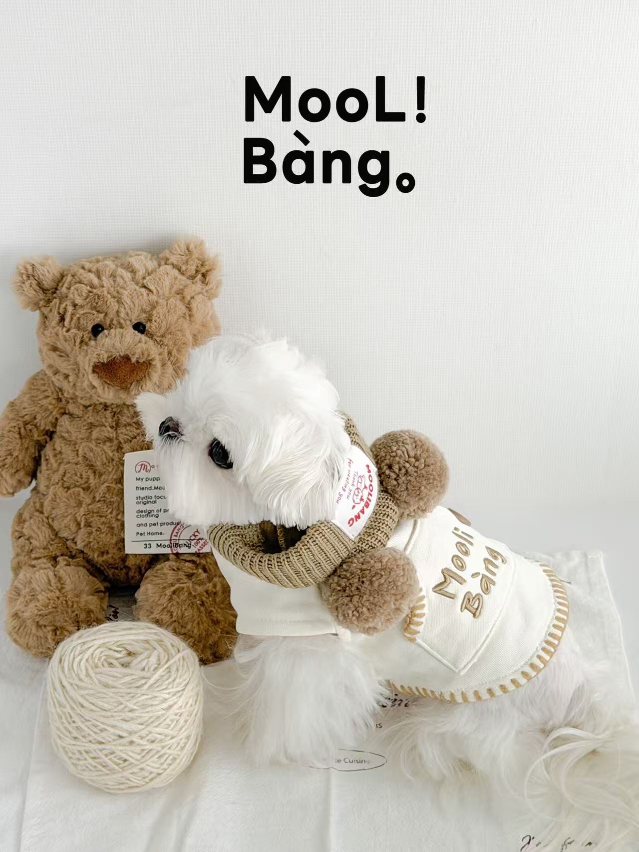 Felpa con Cappuccio per Cani “Rilakkuma Bear”