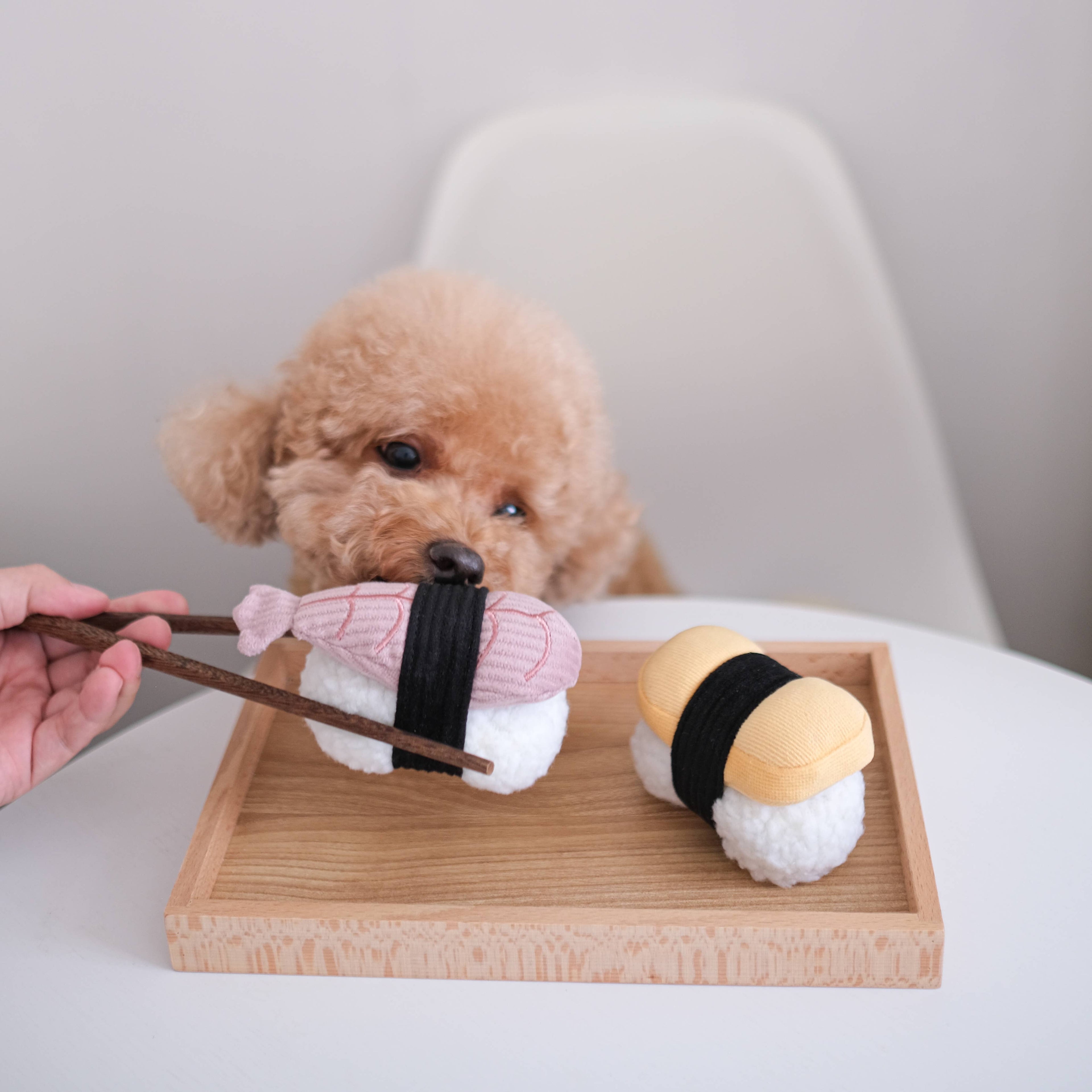 SUSHI // Giocattolo di arricchimento per cani // Annusare + Squittio