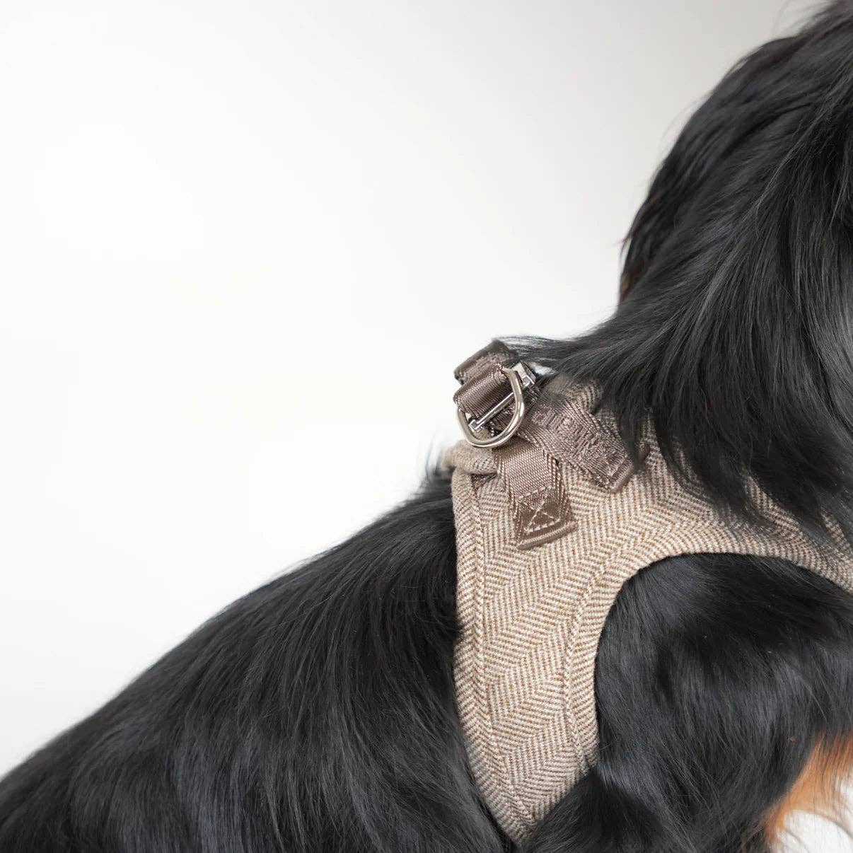 Imbracatura Step-In per Cani Saga | Mocca: 'S