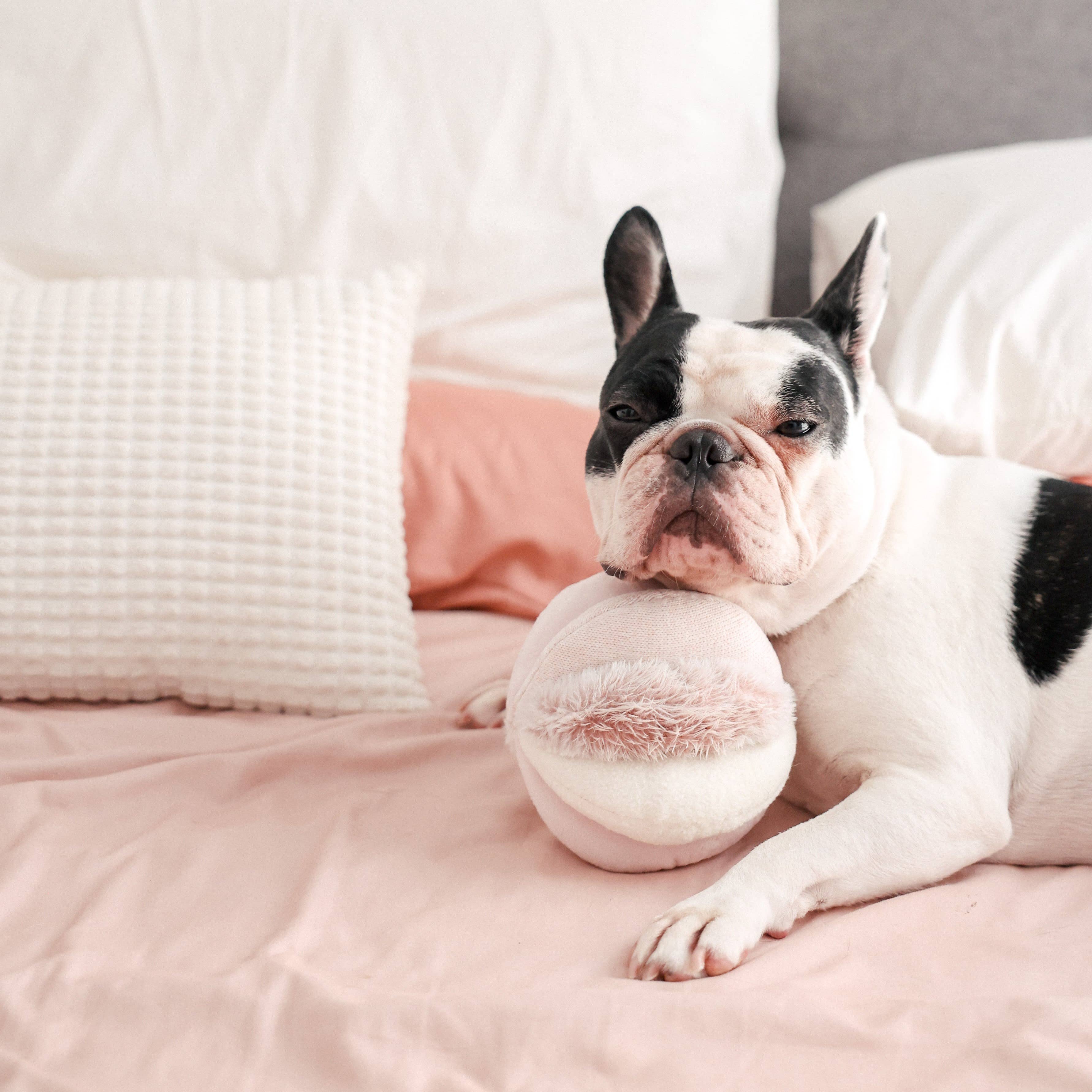 TOTO // GIOCO DI ARRICCHIMENTO PER CANI // Palla Snuffle: ROSA