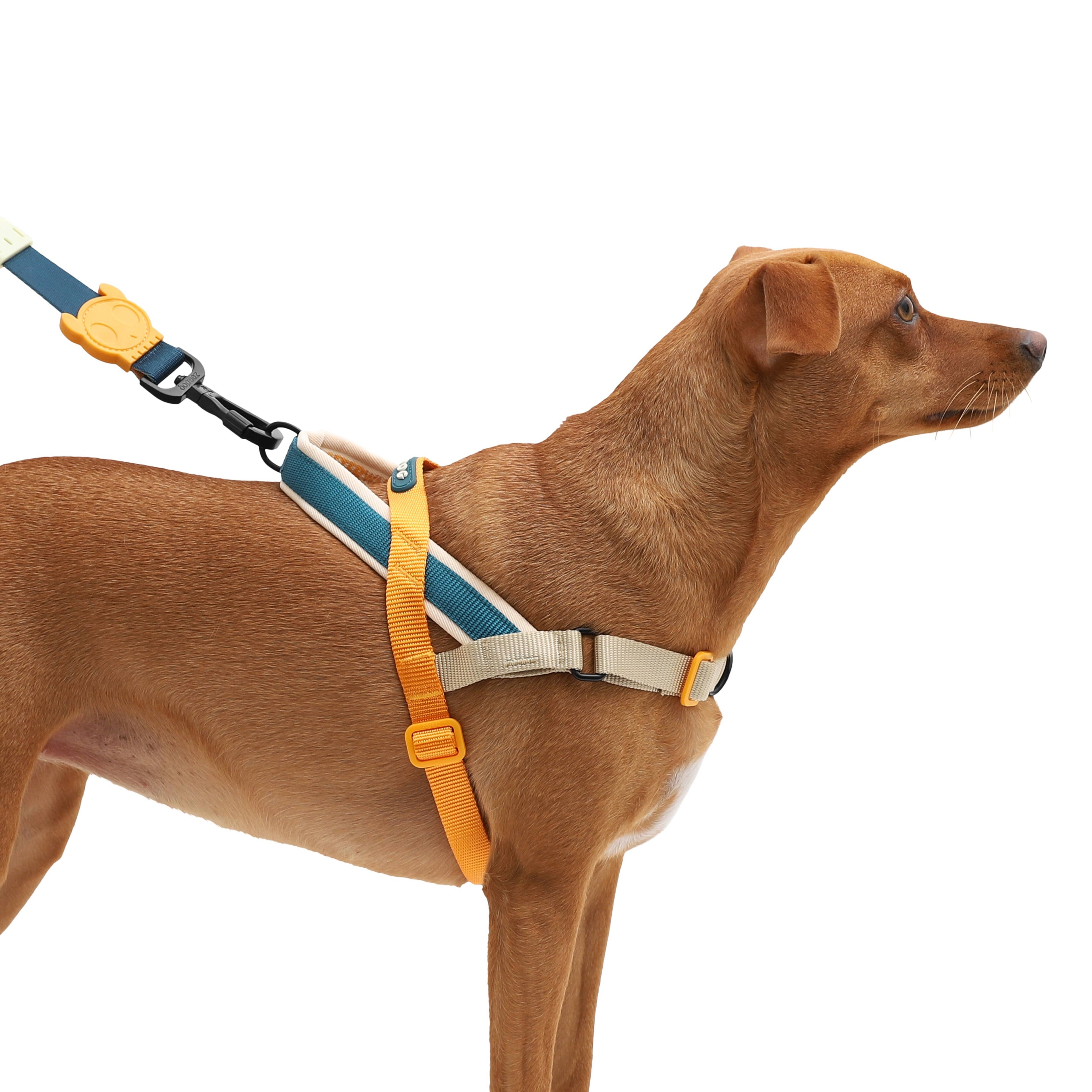 Pettorina Norvegese Softer-Walk Voyage