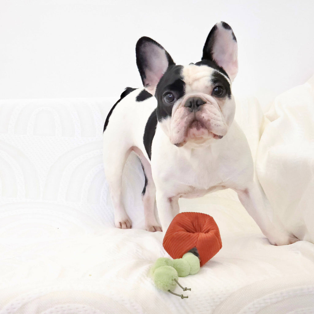Gioco di arricchimento per cani APPLE – Lambwolf Collective