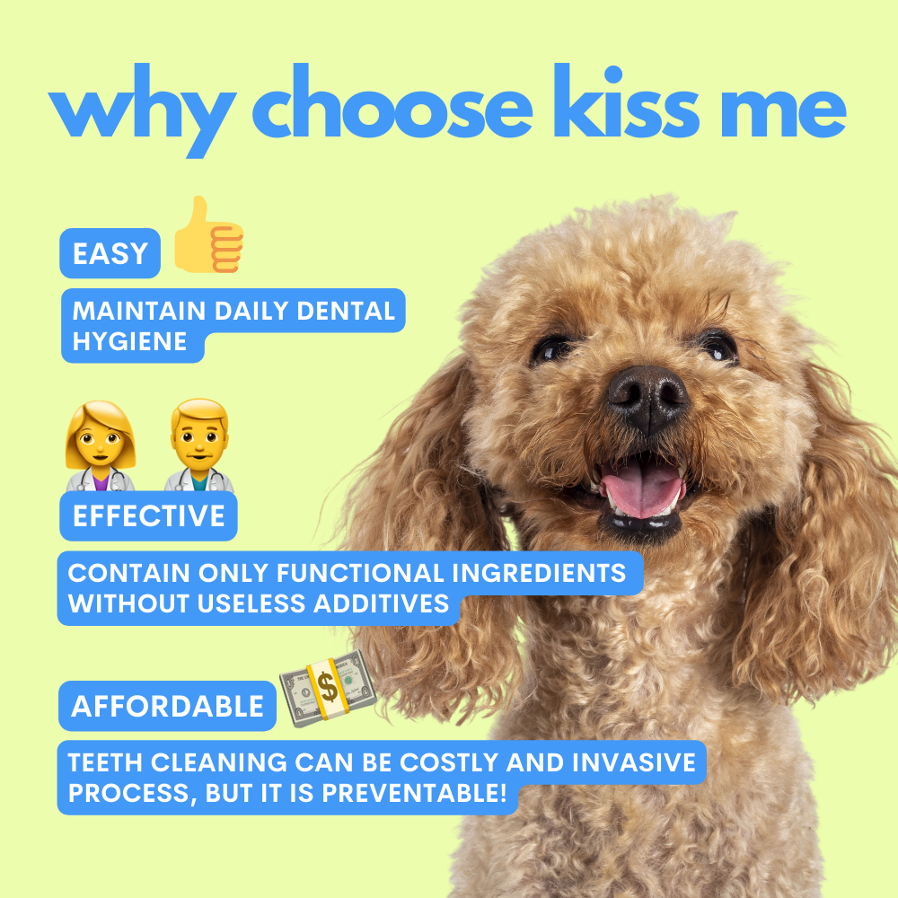 Kiss Me - Spray dentale naturale edibile contro l'alito cattivo per cani