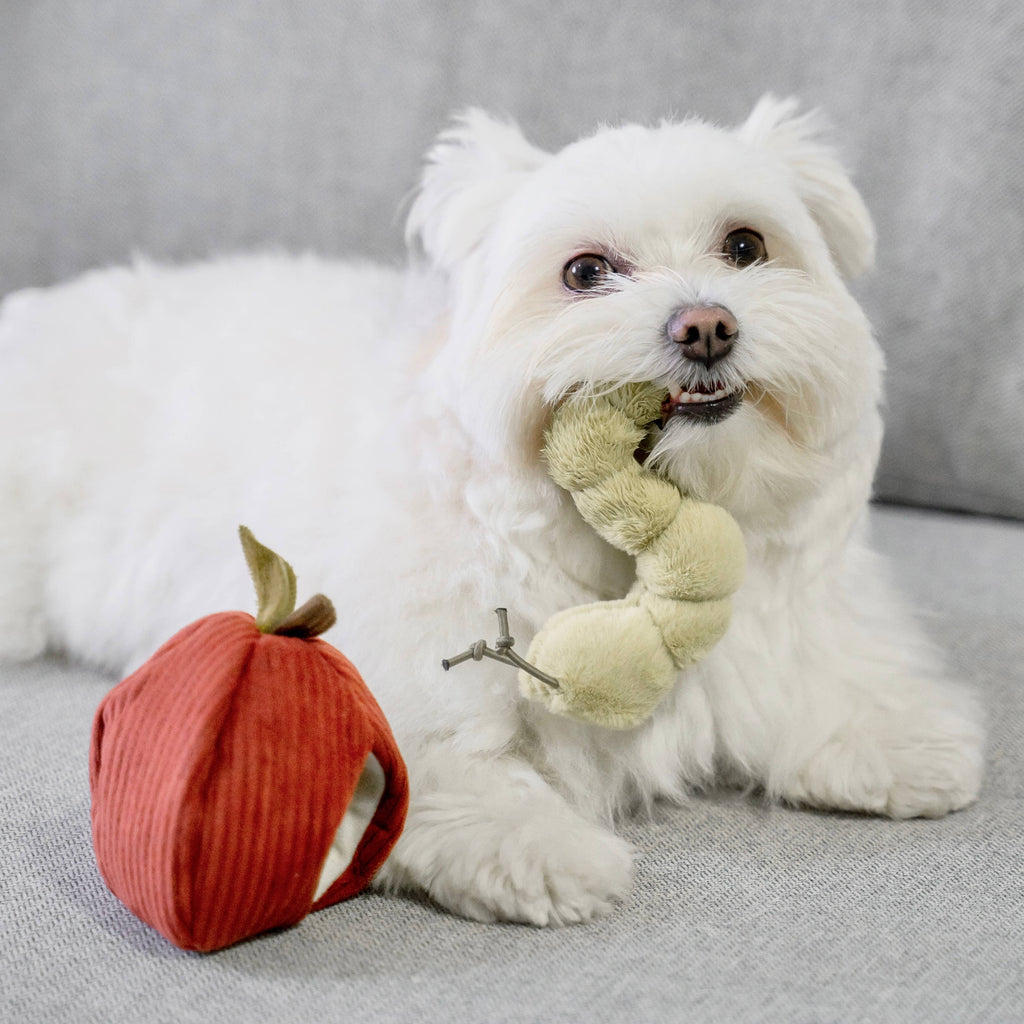 Gioco di arricchimento per cani APPLE – Lambwolf Collective