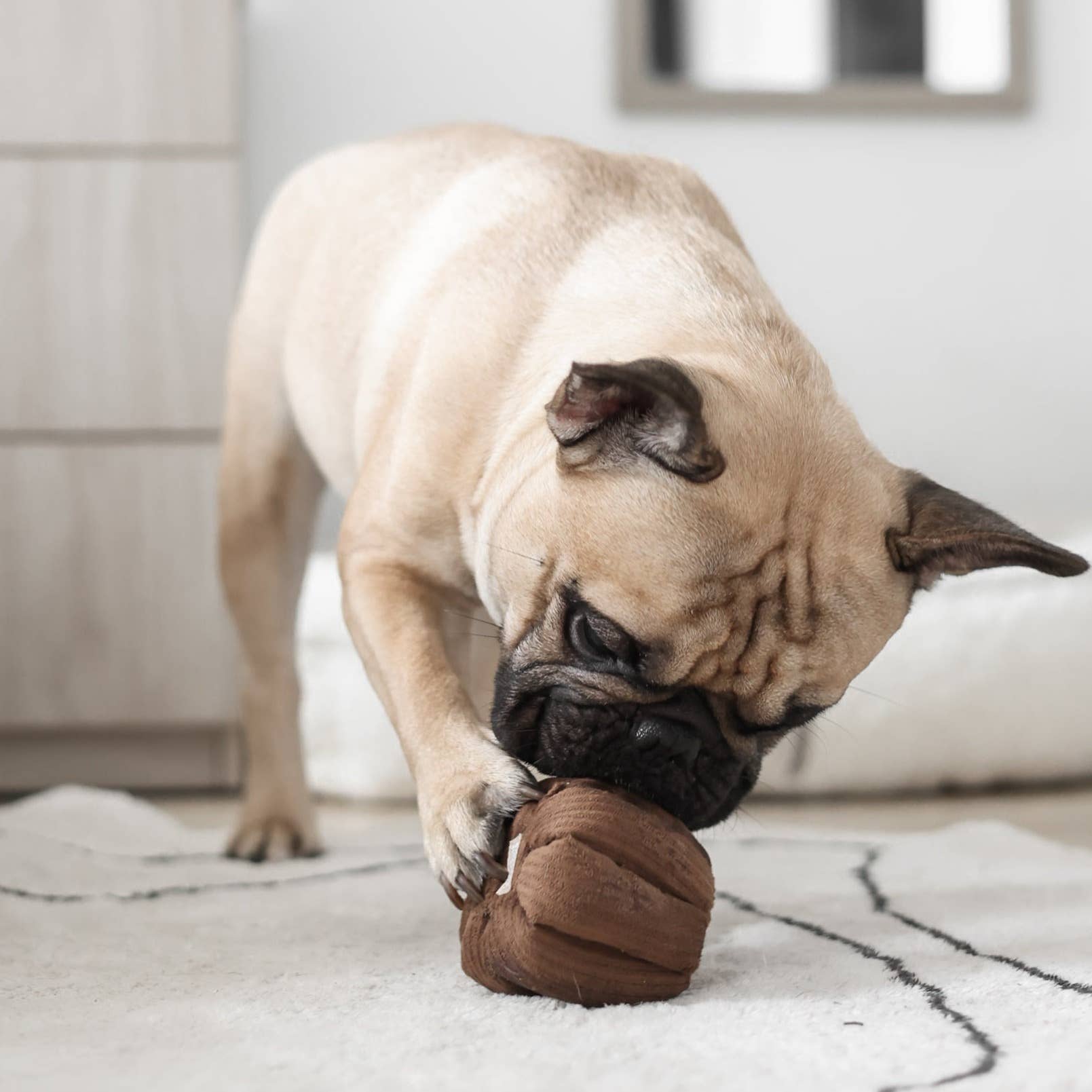 CANELE // GIOCO DI ARRICCHIMENTO PER CANI // Con squeaker + funzione snuffle