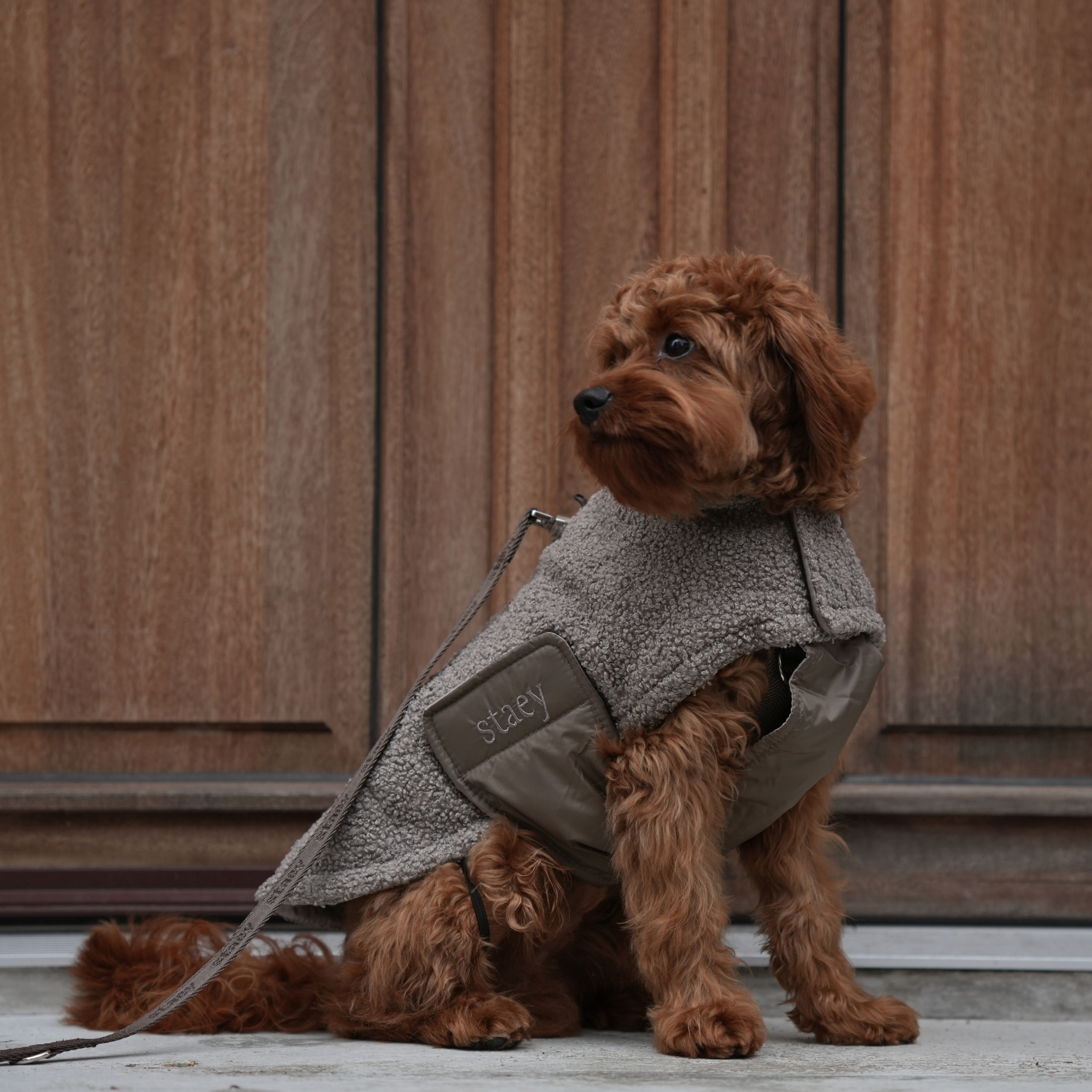 Cappotto per cane Teddy | Taupe: L