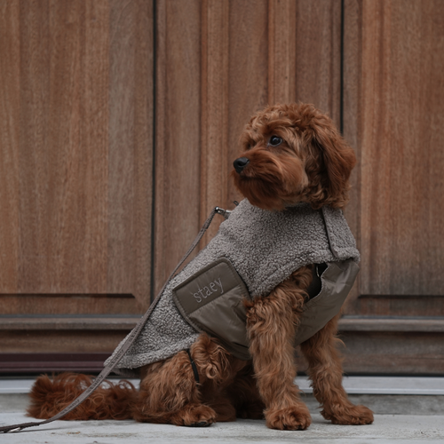 Cappotto per cane Teddy | Taupe: XL