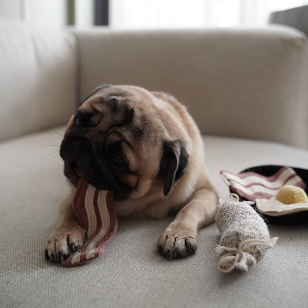 Bfast Set //GIOCATTOLO PER CANI ARRICCHENTE