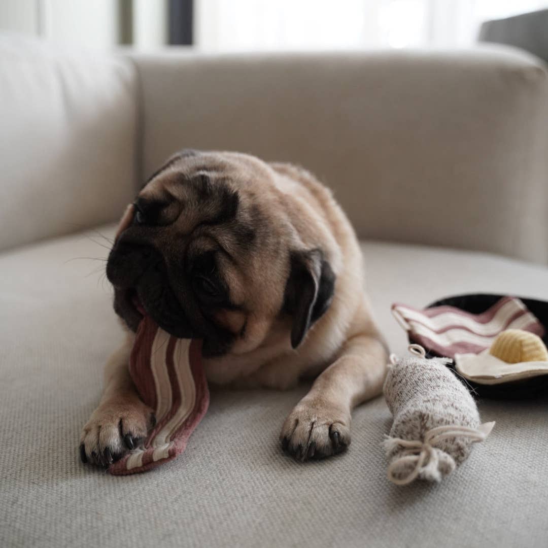 Bfast Set //GIOCATTOLO PER CANI ARRICCHENTE