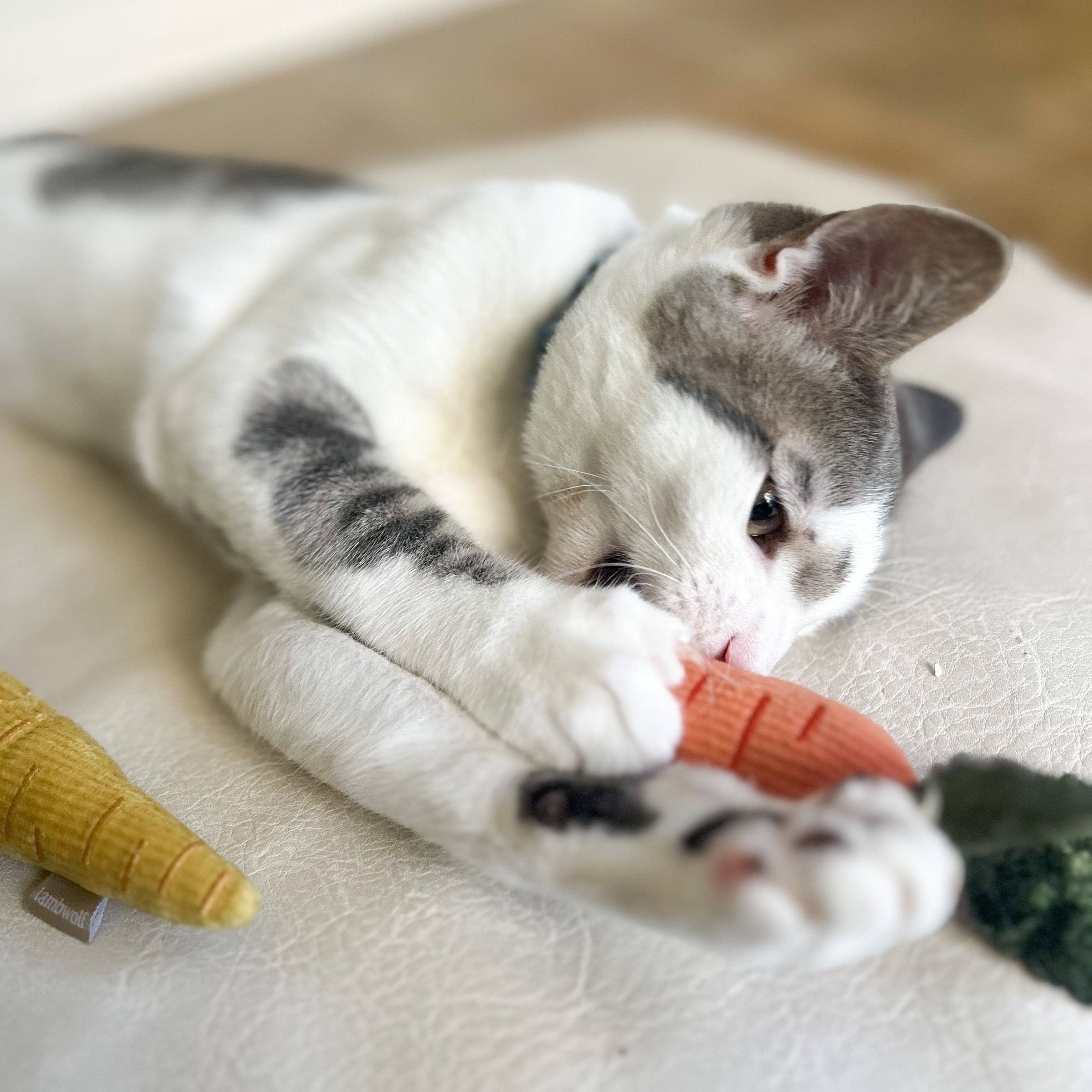 KITTY BABY CAROTE