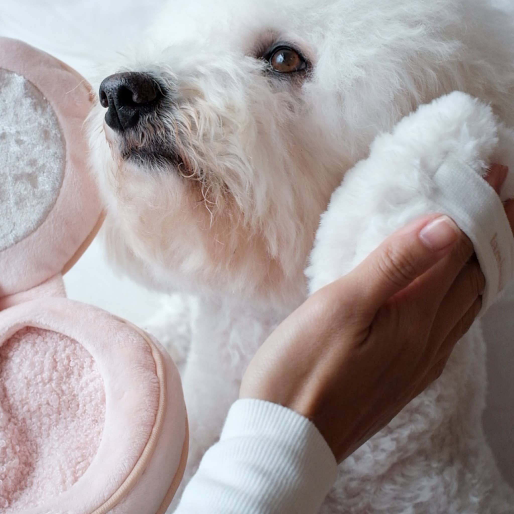 BLUSH // GIOCATTOLO DI ARRICCHIMENTO PER CANI // SNUFFLE