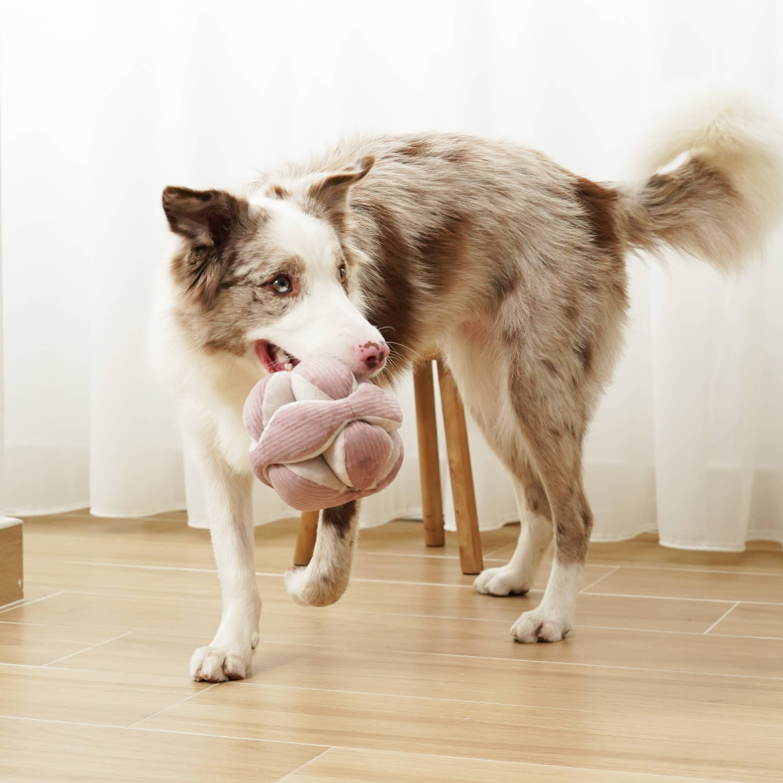 MONTI*// GIOCO DI ARRICCHIMENTO PER CANI // VERSIONE SILENZIOSA // VIOLA