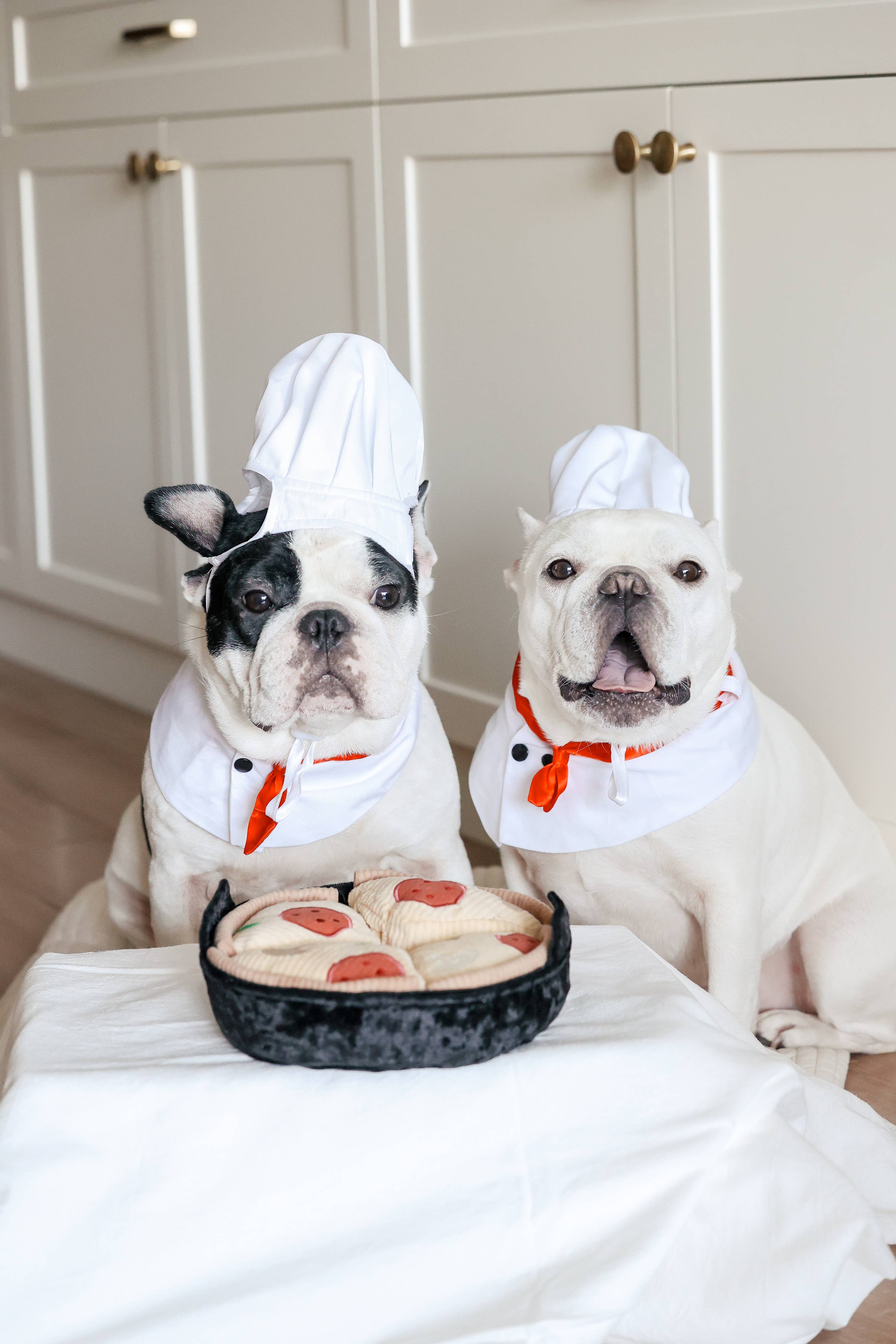 Gioco per cani 'Deep Dish Pizza' per arricchimento