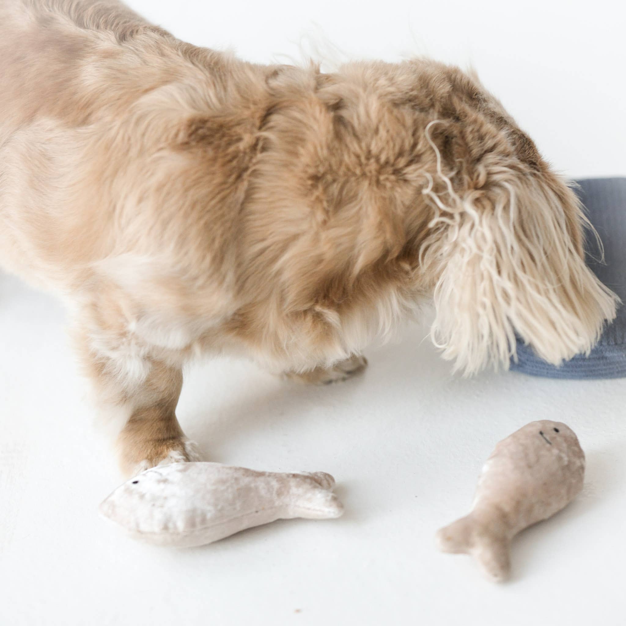 SARDINE // GIOCATTOLO DI ARRICCHIMENTO PER CANI // Giocattolo con squeaker + snuffle