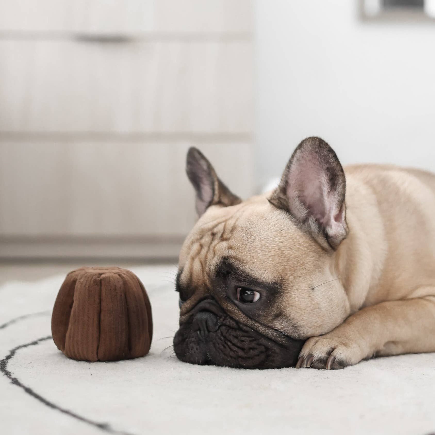 CANELE // GIOCO DI ARRICCHIMENTO PER CANI // Con squeaker + funzione snuffle