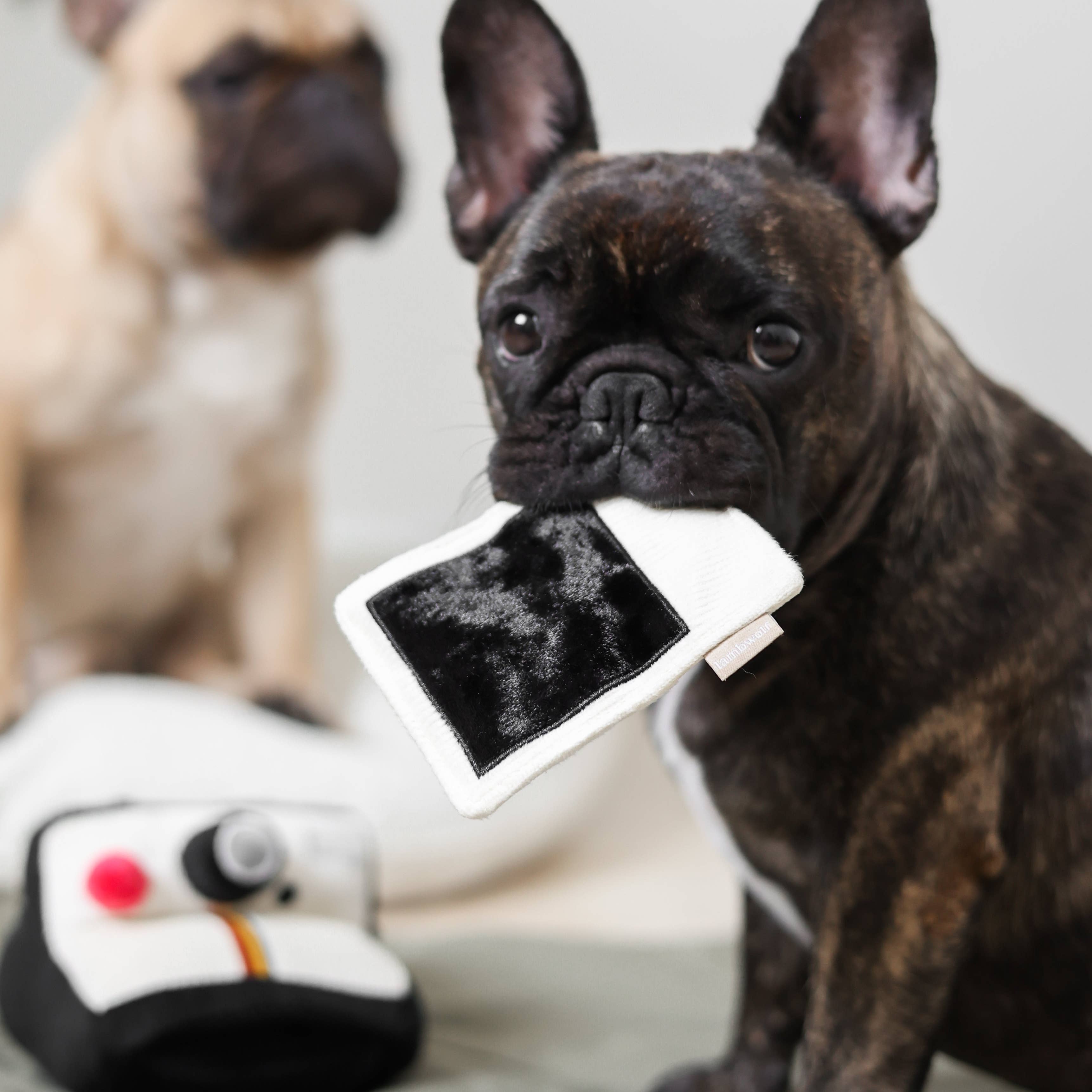 FOTOCAMERA ISTANTANEA//Giocattolo Educativo