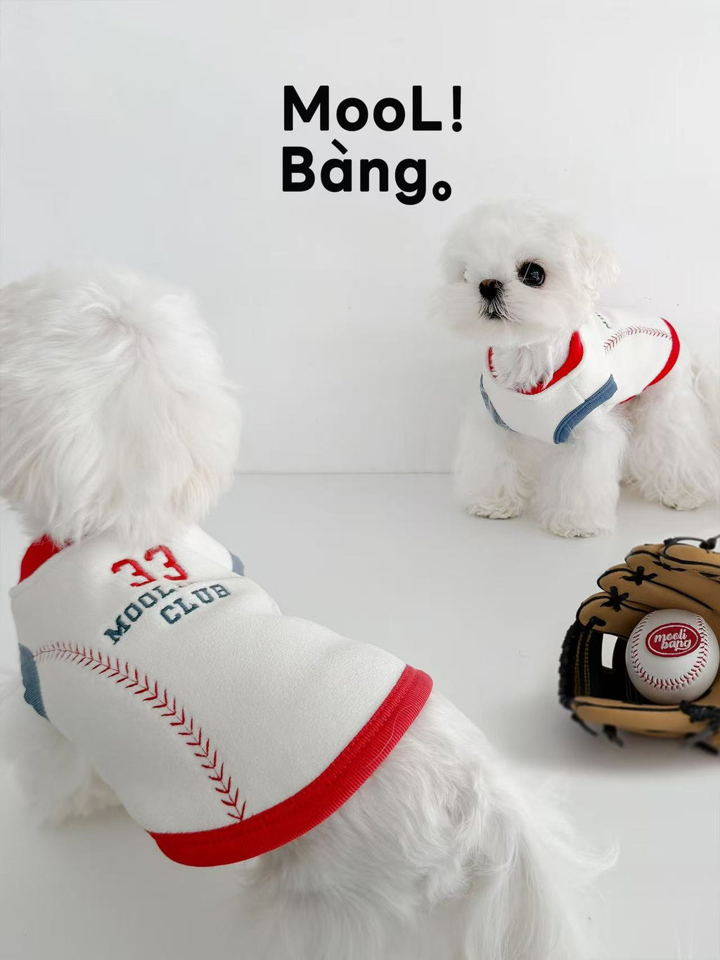 Maglioncino per Cani “Baseball Diary”