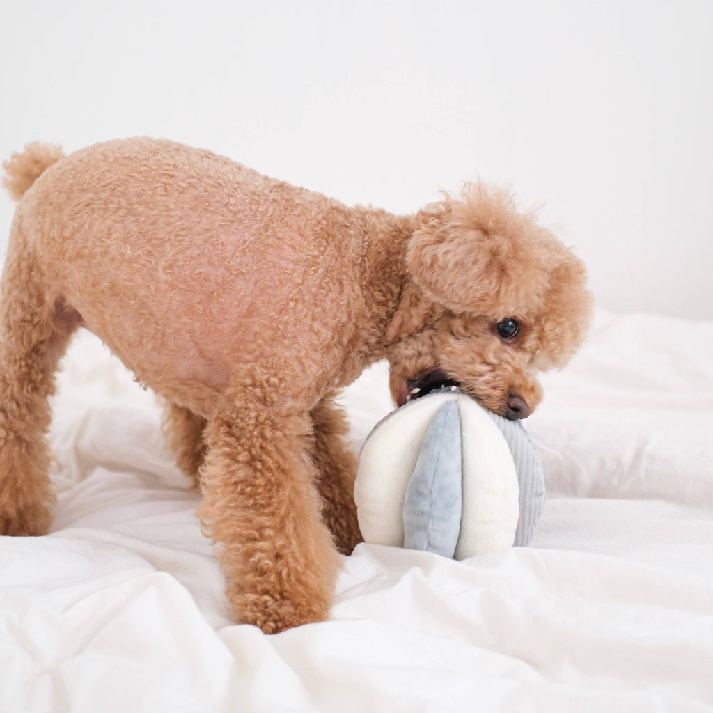 TOTO // GIOCO DI ARRICCHIMENTO PER CANI // Palla Snuffle: ROSA
