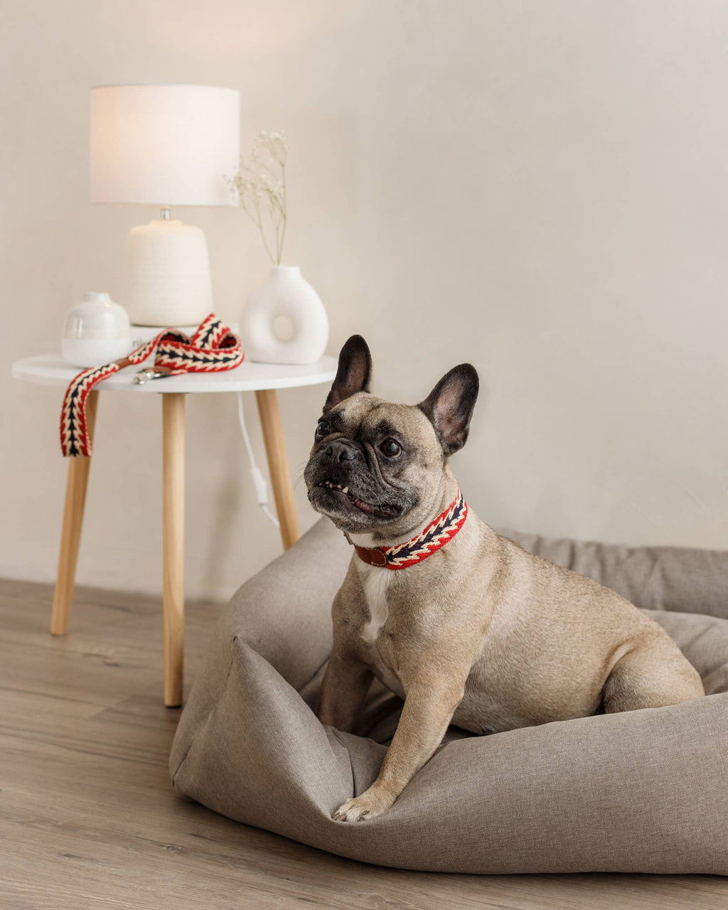 Guinzaglio Peruvian Freccia Rossa 120 cm – Buddys Dogwear
