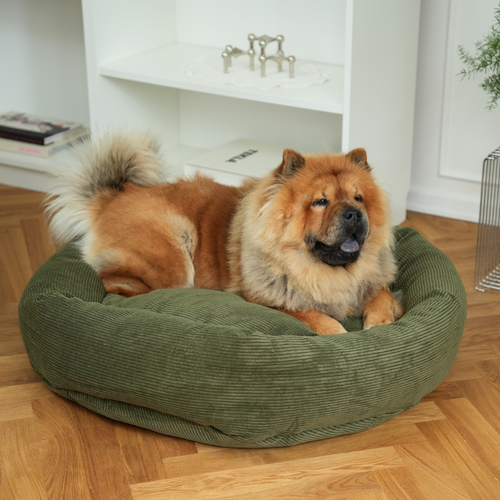 Hundebett Luna 3.0 aus Cord in Moosgrün: Klein Plus