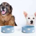 Set 2 Ciotole per Animali Nuvola 16,5 cm