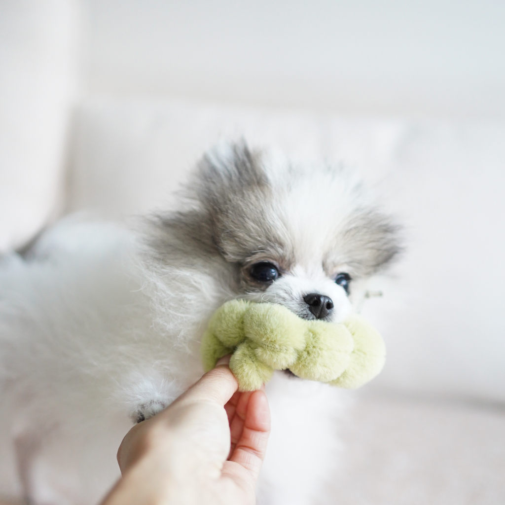 Gioco di arricchimento per cani APPLE – Lambwolf Collective