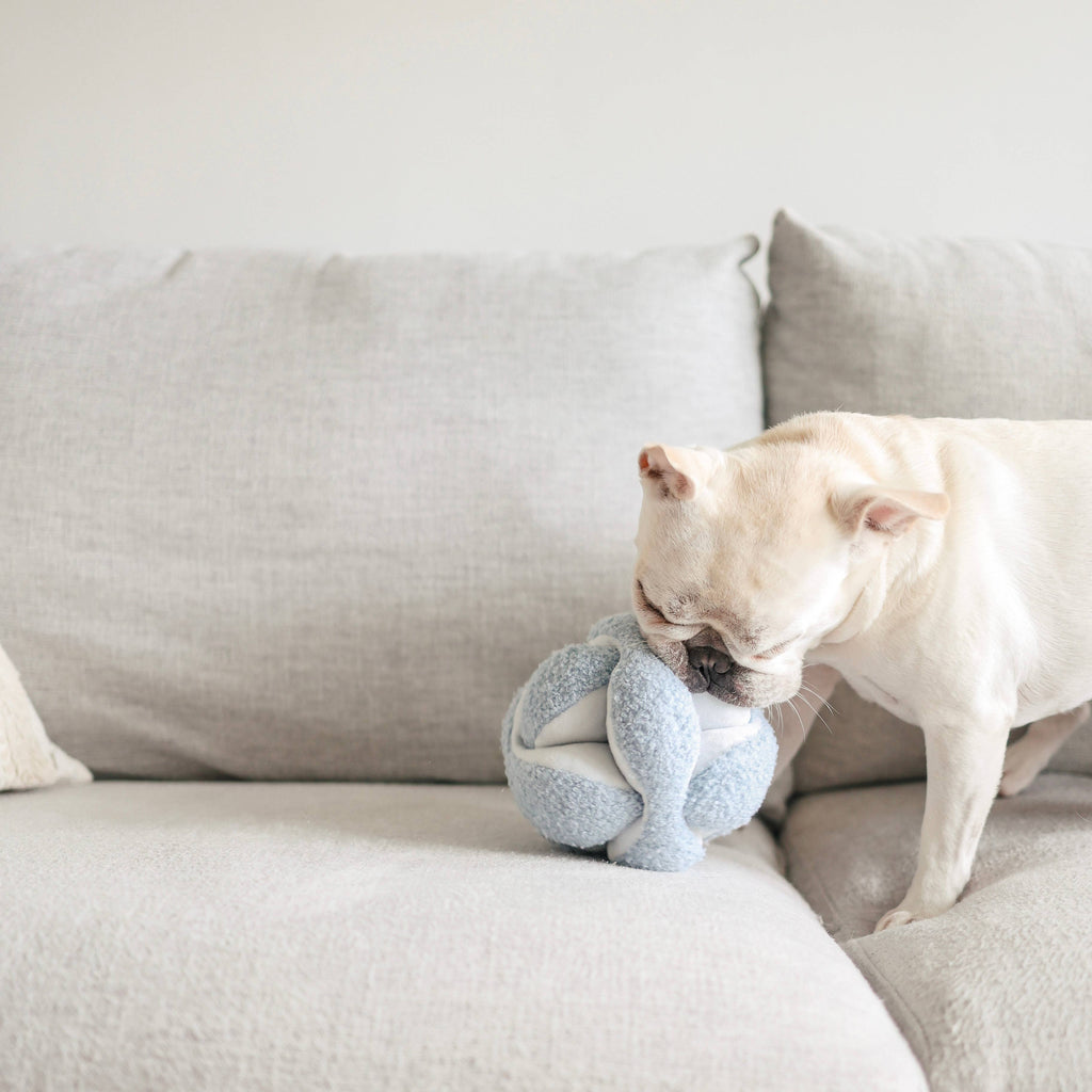 MONTI // GIOCATTOLO DI ARRICCHIMENTO PER CANI // GIOCATTOLO SNUFFLE //  Azzurro