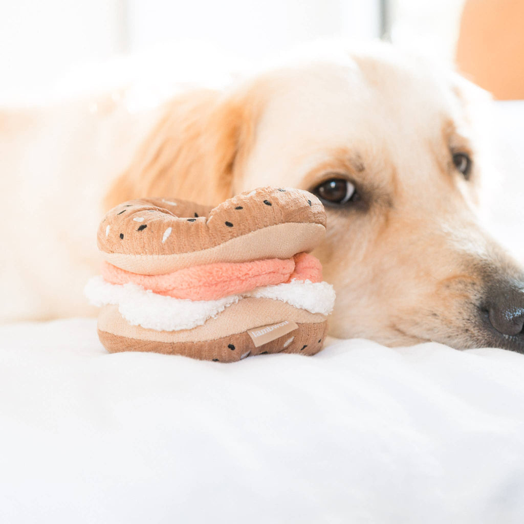 Gioco per cani Kit Bagel e Cetriolo Lambwolf Collective