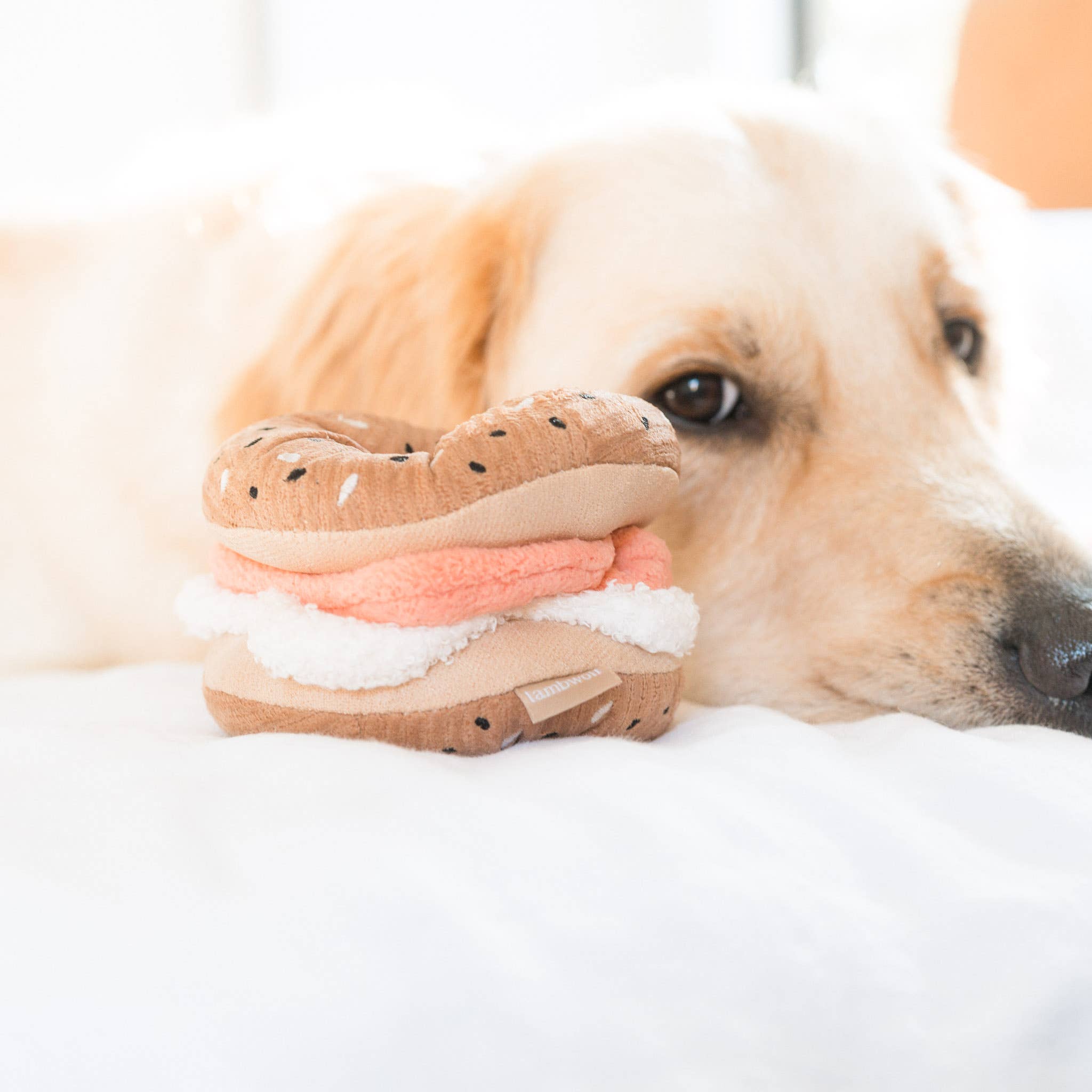 Gioco per cani Kit Bagel e Cetriolo Lambwolf Collective