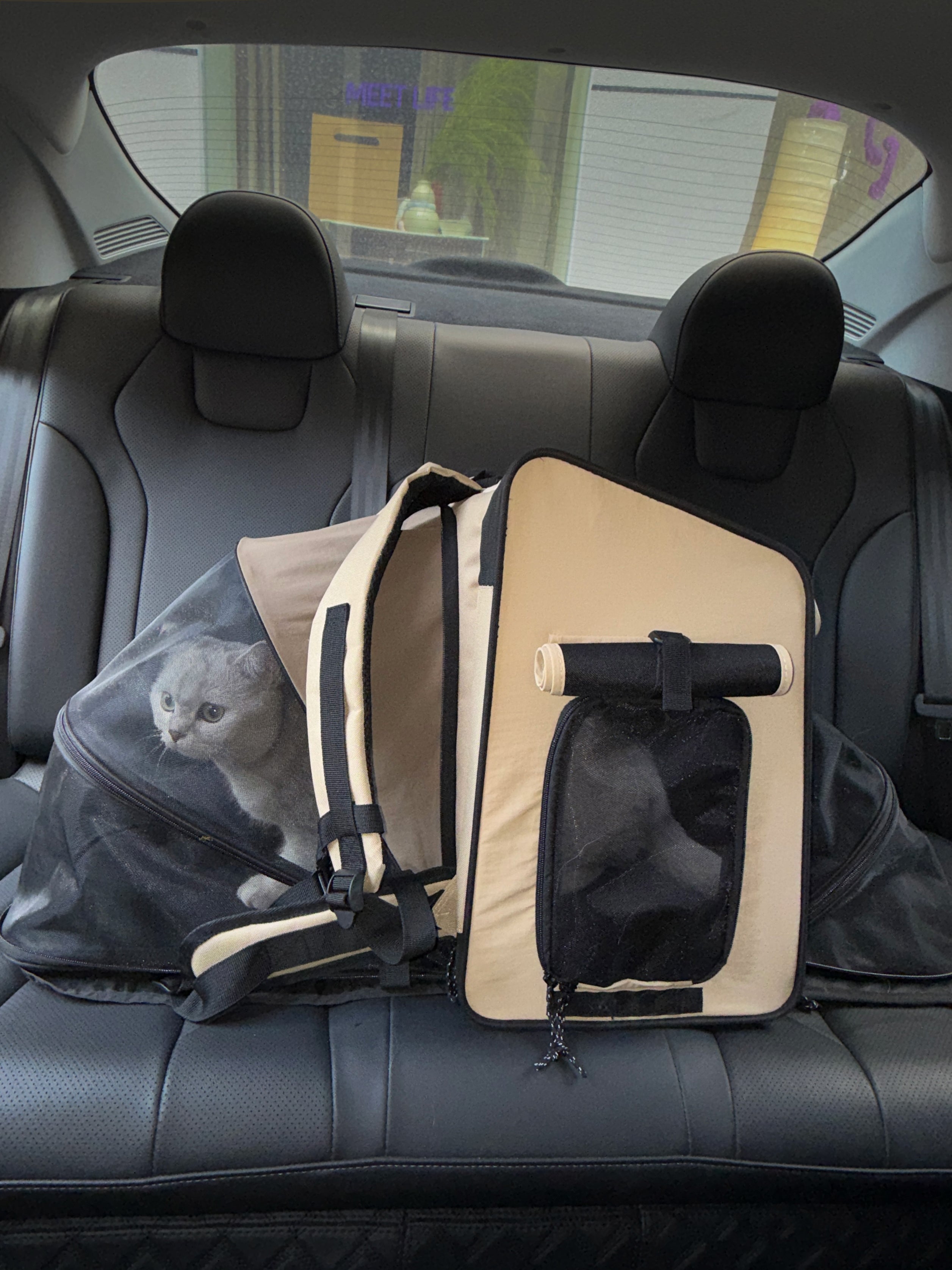 Zaino Trasportino Espandibile per Cani e Gatti con Area Relax Integrata